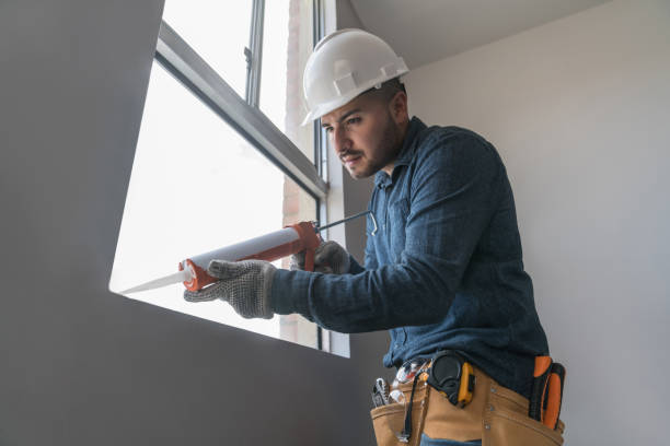 Best Skylight Installation  in Williamston, MI